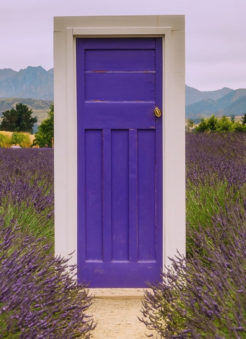 Purple door to private hypnosis sessions